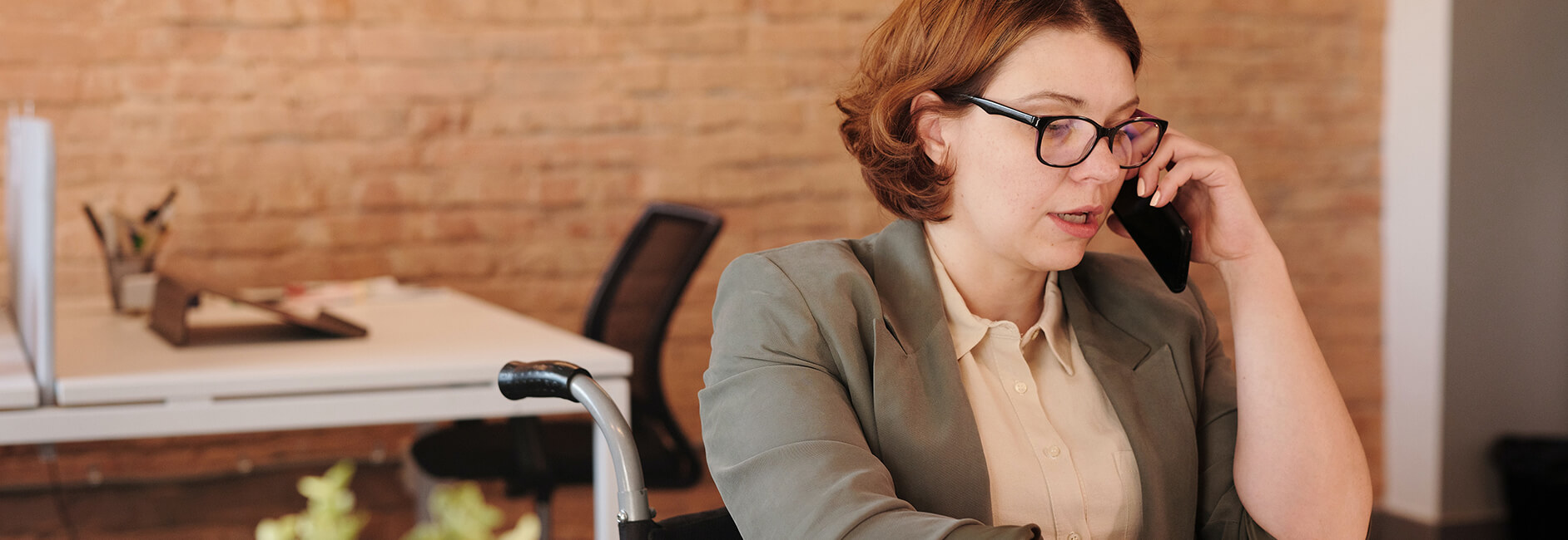 Disclaimer & Ownerhip