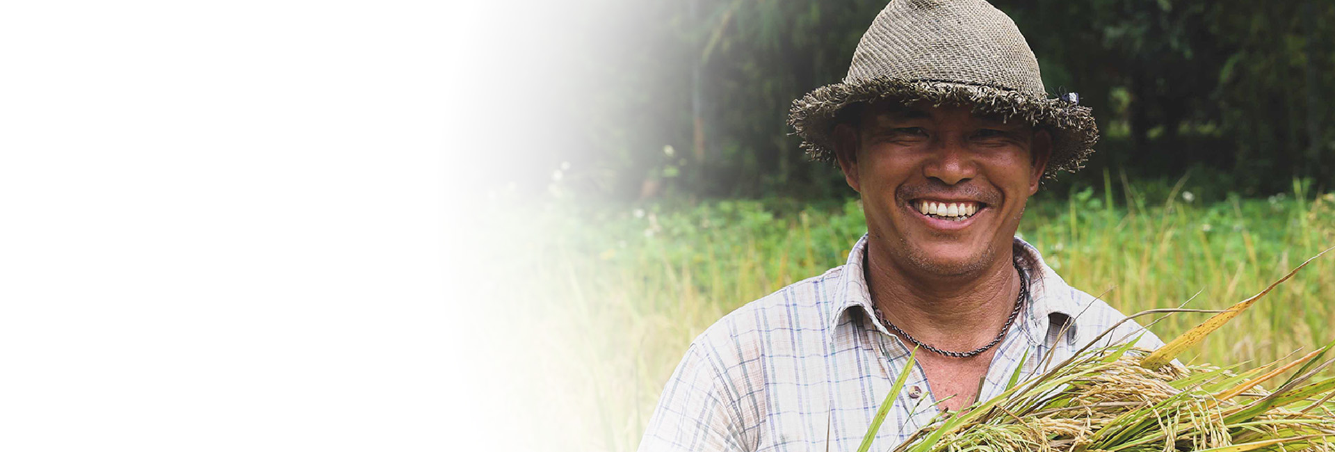 Asuransi Mandiri Mikro Sejahtera