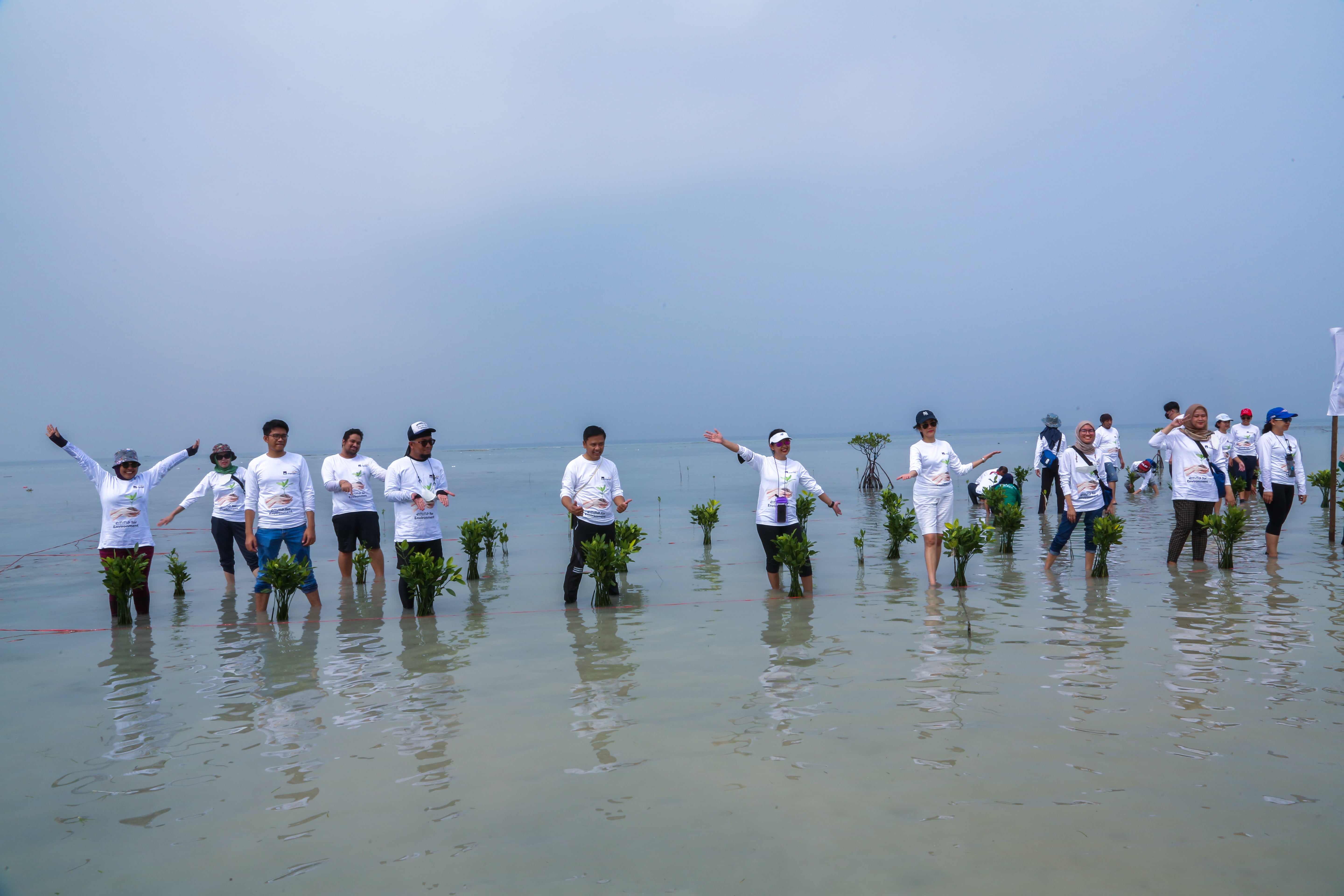 AXA Mandiri dan MAGI Ajak Nasabah Untuk Peduli Lingkungan dengan Menanam Ribuan Pohon Bakau (2)