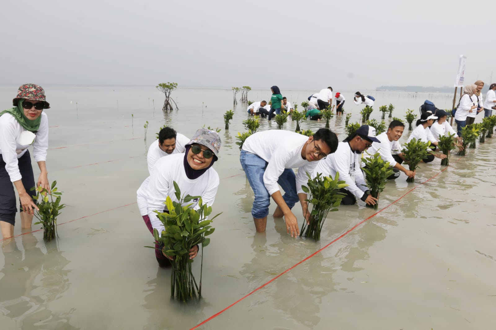 AXA Mandiri dan MAGI Ajak Nasabah Untuk Peduli Lingkungan dengan Menanam Ribuan Pohon Bakau (1)