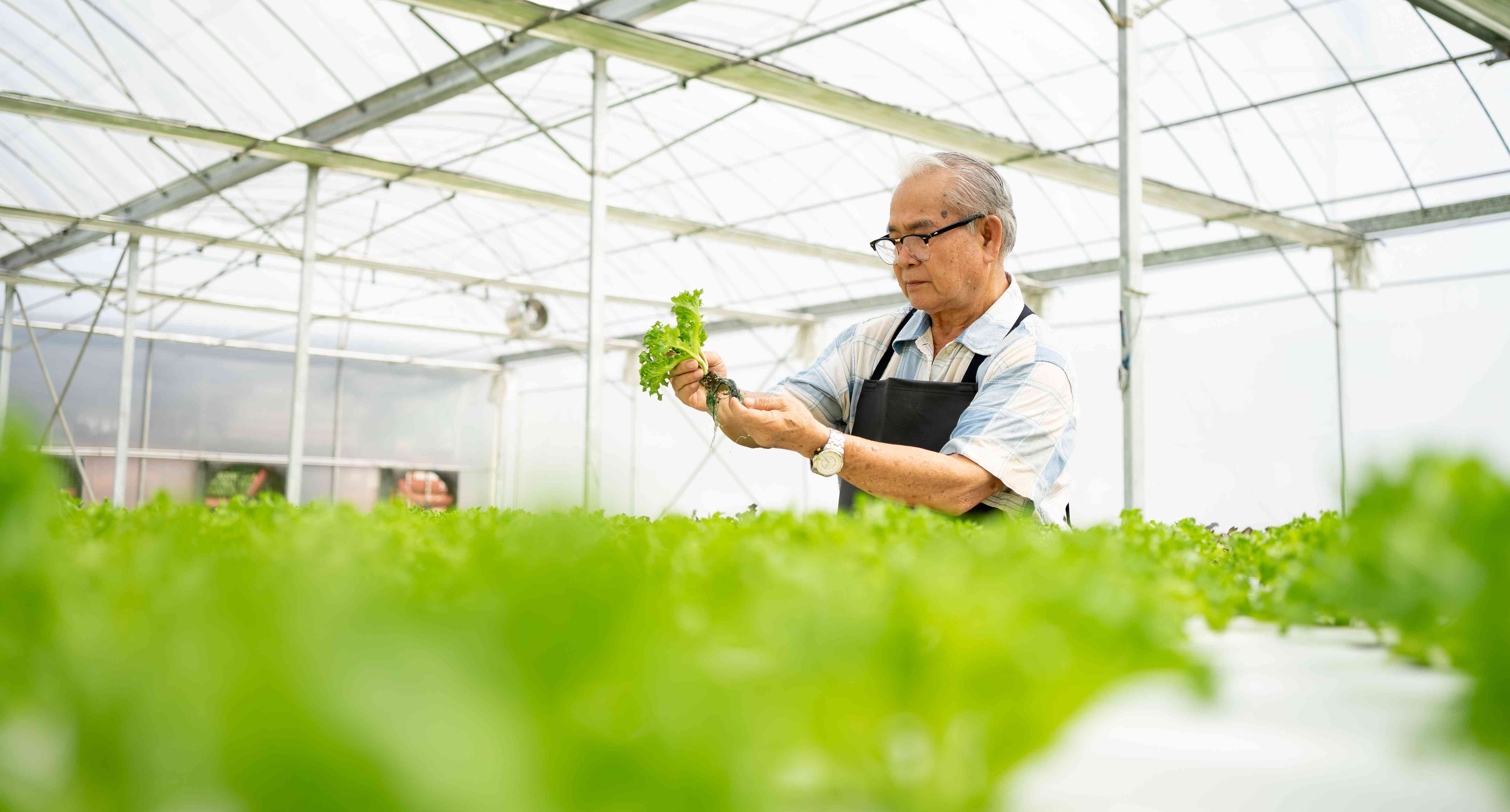 Manfaat Konsumsi Makanan Vegetarian