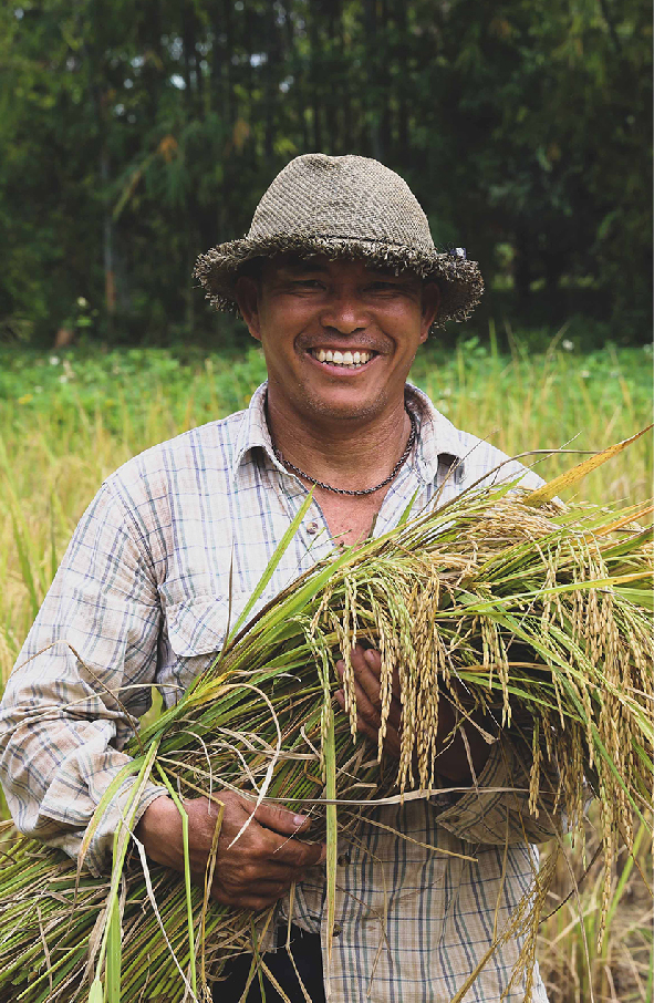 Asuransi Mandiri Mikro Sejahtera - Plan Aman Jiwa